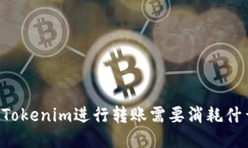 用Tokenim进行转账需要消耗什么？