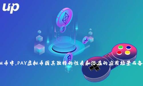 虚拟币是近年来随着区块链技术的发展逐渐走入大众视野的重要金融工具，而在各种虚拟币中，PAY虚拟币因其独特的性质和潜在的应用场景而备受瞩目。那么，什么是PAY虚拟币？它的价值如何评估？我们该如何投资和使用这种虚拟币？

什么是PAY虚拟币？投资者该如何看待？