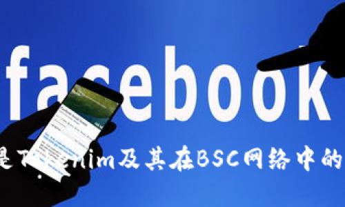 什么是Tokenim及其在BSC网络中的应用？