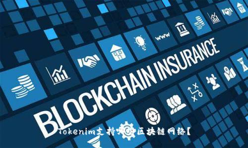 Tokenim支持哪些区块链网络？