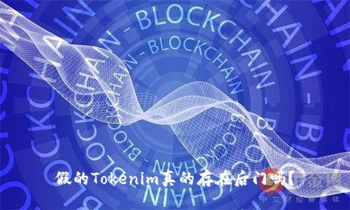 假的Tokenim真的存在后门吗？