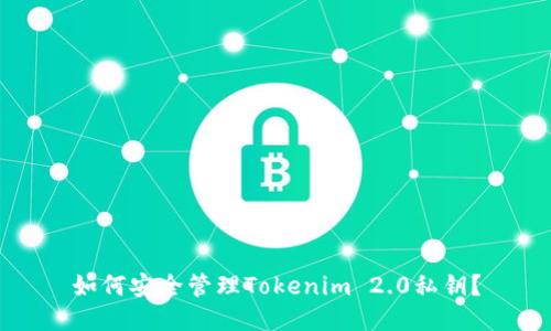 如何安全管理Tokenim 2.0私钥？