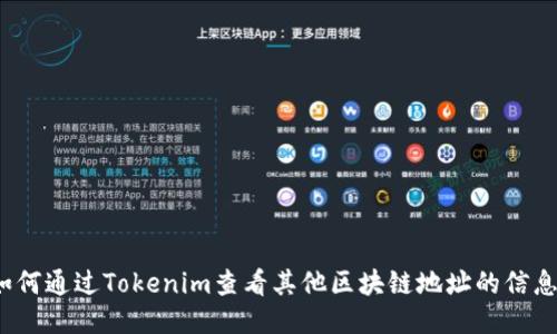 如何通过Tokenim查看其他区块链地址的信息？