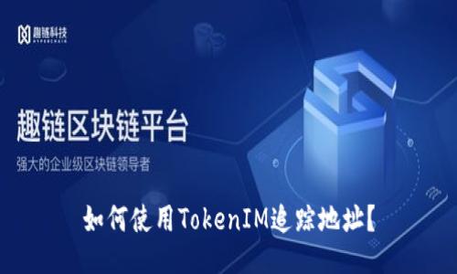 如何使用TokenIM追踪地址？