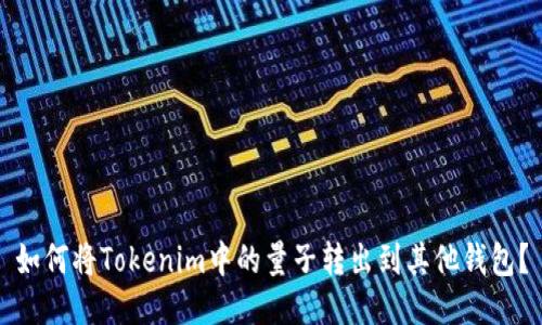如何将Tokenim中的量子转出到其他钱包？