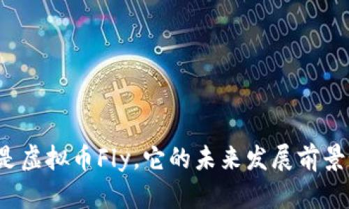 什么是虚拟币Fly，它的未来发展前景如何？