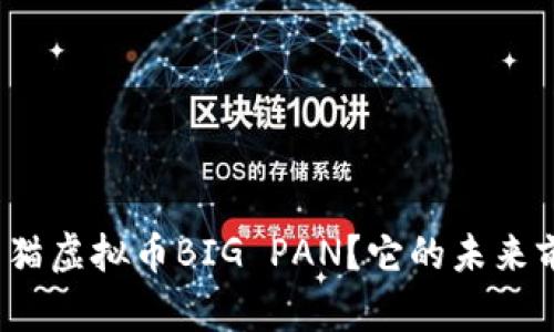 什么是熊猫虚拟币BIG PAN？它的未来前景如何？