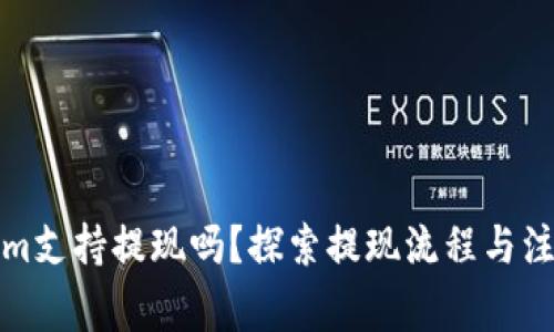 Tokenim支持提现吗？探索提现流程与注意事项