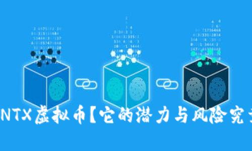 什么是NTX虚拟币？它的潜力与风险究竟如何？