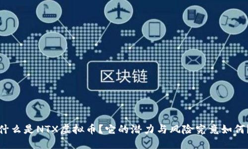 什么是NTX虚拟币？它的潜力与风险究竟如何？