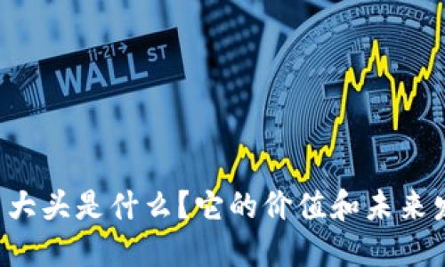 虚拟币袁大头是什么？它的价值和未来发展如何？
