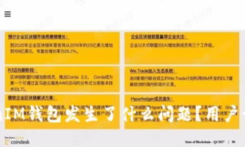 TokenTokenIM钱包发生了什么问题？用户该如何应对？