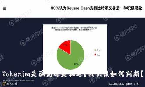 Tokenim是骗局还是机遇？我们该如何判断？