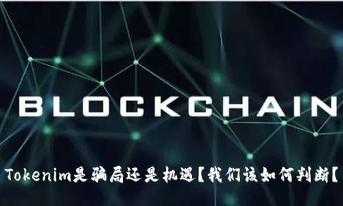 Tokenim是骗局还是机遇？我们该如何判断？