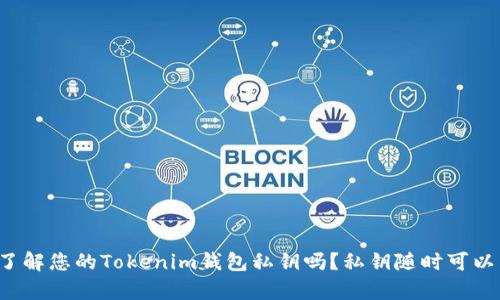 您真的了解您的Tokenim钱包私钥吗？私钥随时可以导出吗？