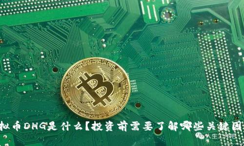 虚拟币DHG是什么？投资前需要了解哪些关键因素？