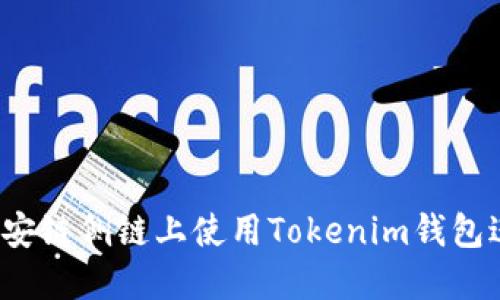 如何在币安链侧链上使用Tokenim钱包进行交易?