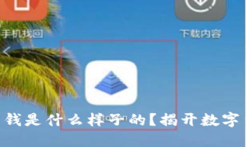 Tokenim里面的钱是什么样子的？揭开数字货币的神秘面纱