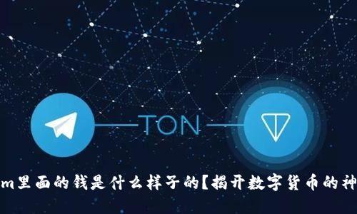 Tokenim里面的钱是什么样子的？揭开数字货币的神秘面纱