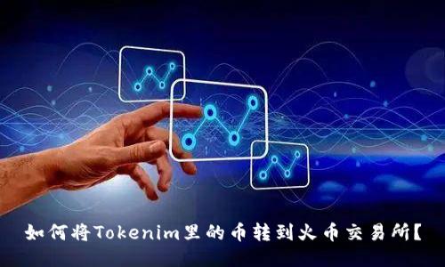如何将Tokenim里的币转到火币交易所？
