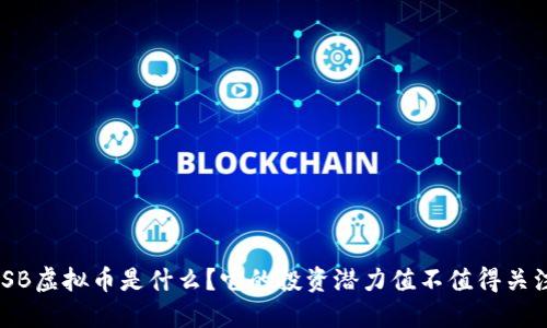 WSB虚拟币是什么？它的投资潜力值不值得关注？