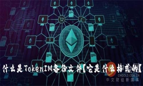 什么是TokenIM备份文件？它是什么格式的？