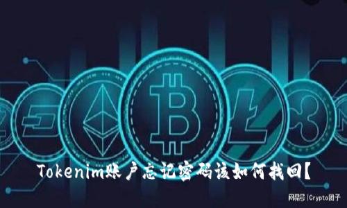 Tokenim账户忘记密码该如何找回？