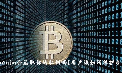 Tokenim会盗取你的私钥吗？用户该如何保护自己？