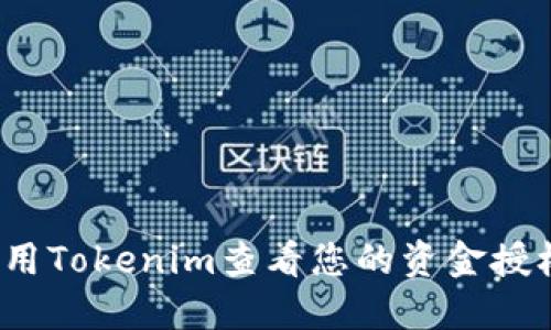 如何使用Tokenim查看您的资金授权状态？