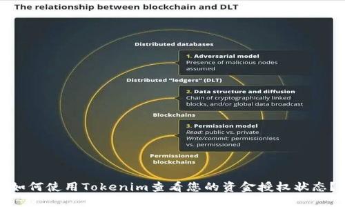 如何使用Tokenim查看您的资金授权状态？