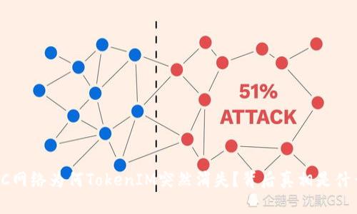 ETC网络为何TokenIM突然消失？背后真相是什么？
