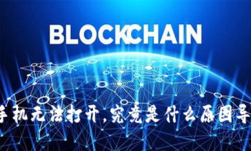 苹果手机无法打开，究竟是什么原因导致的？