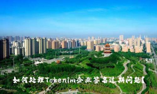 如何处理Tokenim企业签名过期问题？