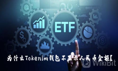 为什么Tokenim钱包不显示人民币金额？