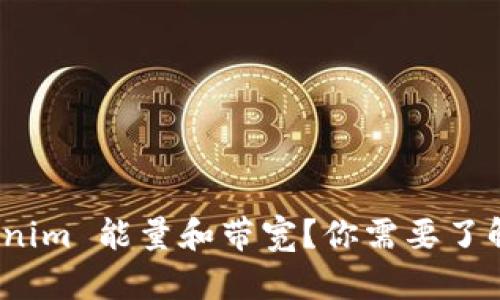 什么是 Tokenim 能量和带宽？你需要了解的关键概念