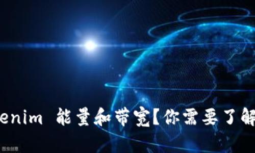 什么是 Tokenim 能量和带宽？你需要了解的关键概念