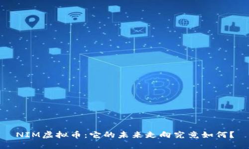 NIM虚拟币：它的未来走向究竟如何？