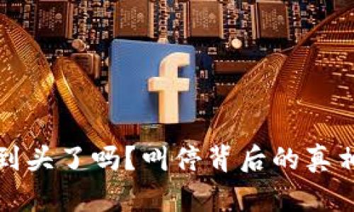 “虚拟币真的到头了吗？叫停背后的真相与未来展望”